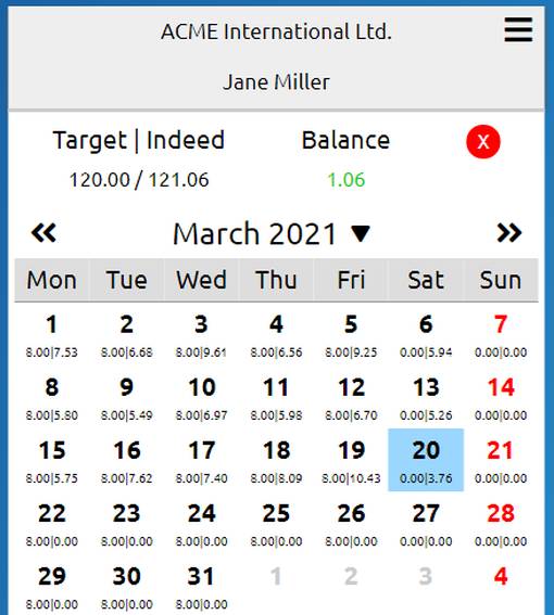 Detailed view of the working and absence times in the calendar